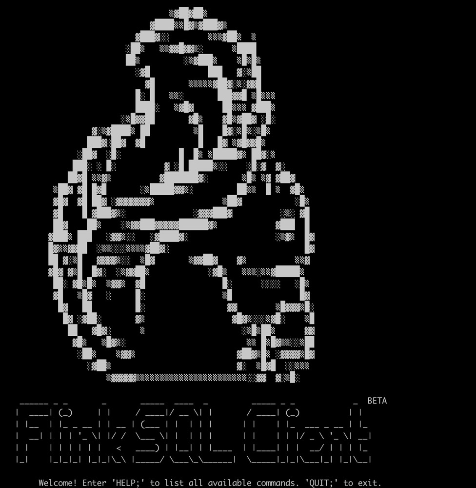 flinkimage